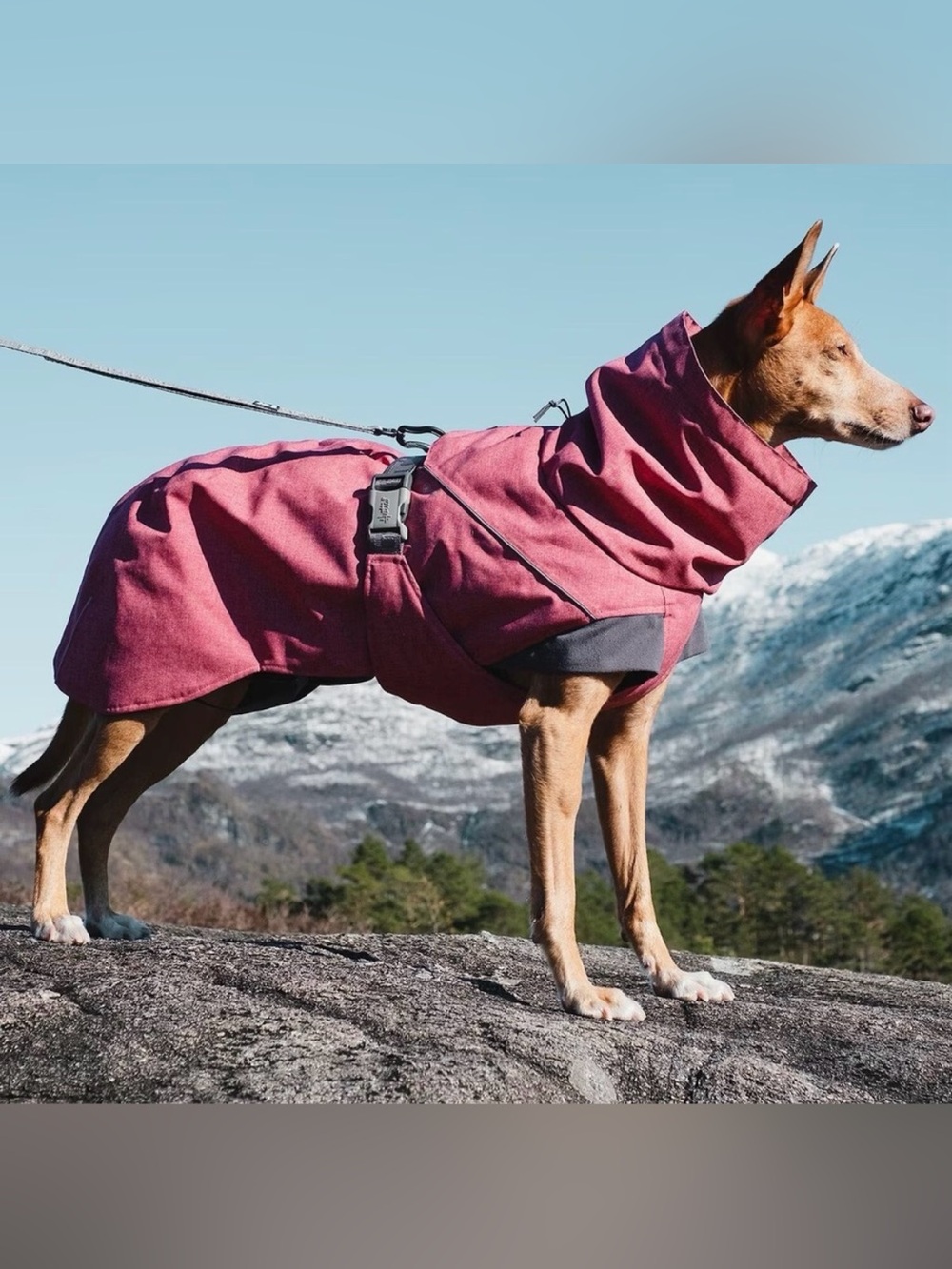 Hurtta NWT 35XL/14XL Expedition Parka Crimson Red Waterproof Dog Coat Reflective